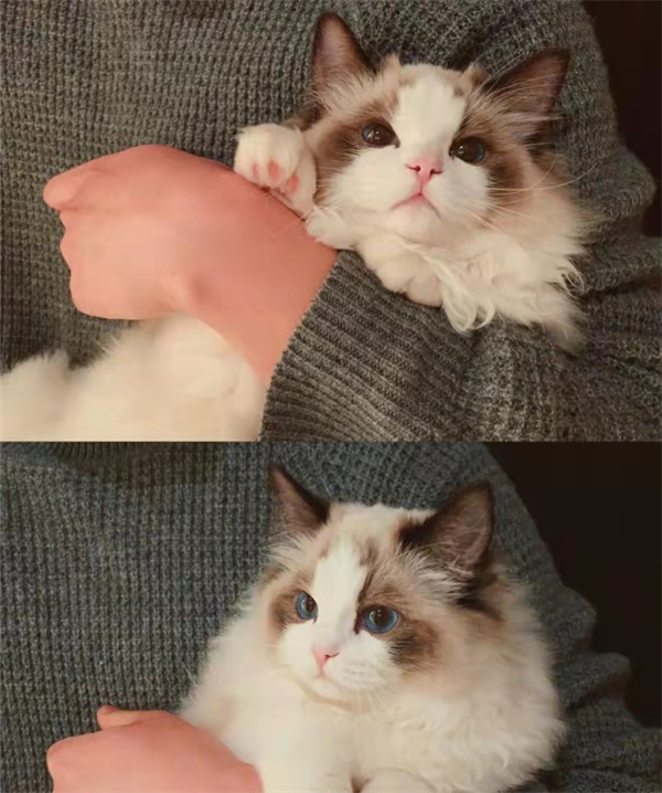 ʱ- ٷվ